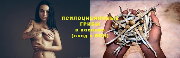 марки nbome Абаза