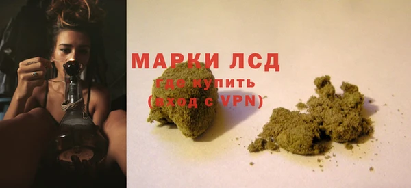 spice Абинск