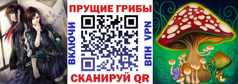 Псилоцибиновые грибы мицелий  Энем 
